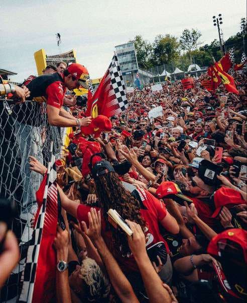 Fans celebrating
